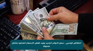 انخفاض قياسي.. سعر الدولار الجديد يعيد خفض الأسعار المحلية بشكل ملحوظ